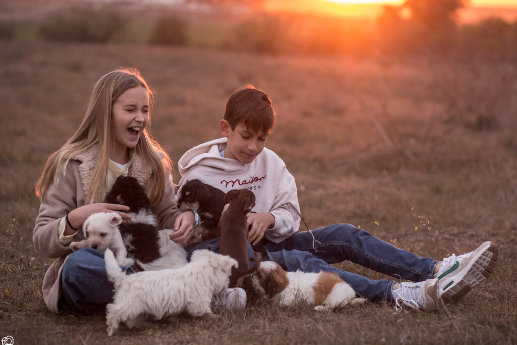 criadores-razas-mini-toy-espana