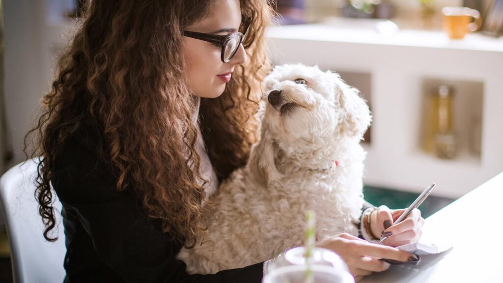 estreñimiento en perros