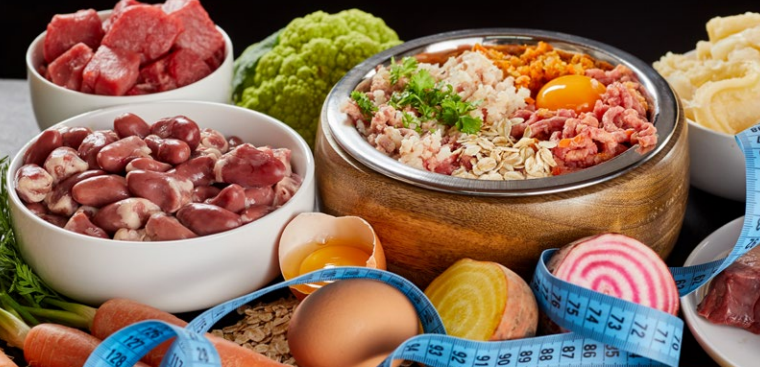 Dieta barf para perros