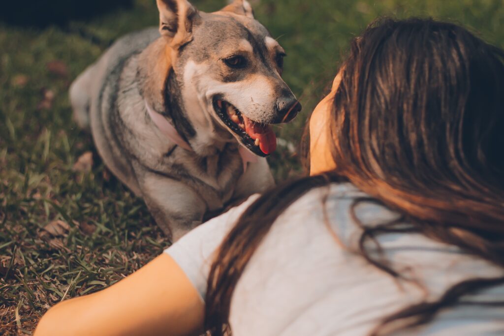 perro y cuidadora