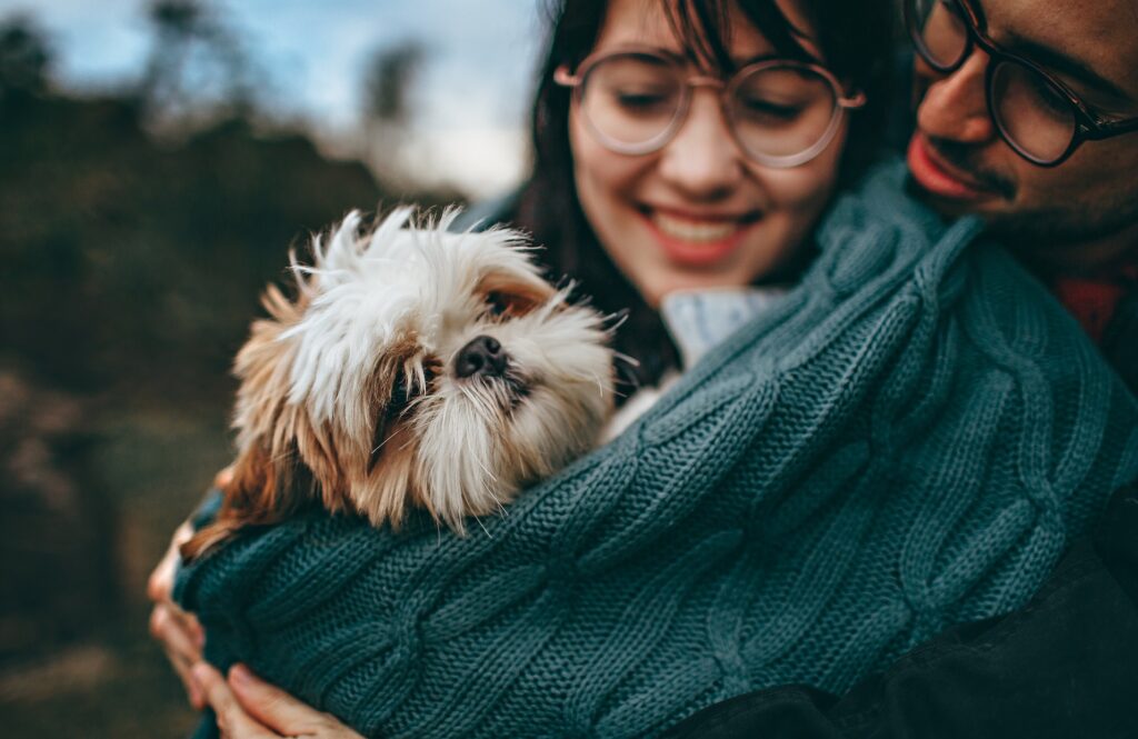 como saber si mi perro es feliz