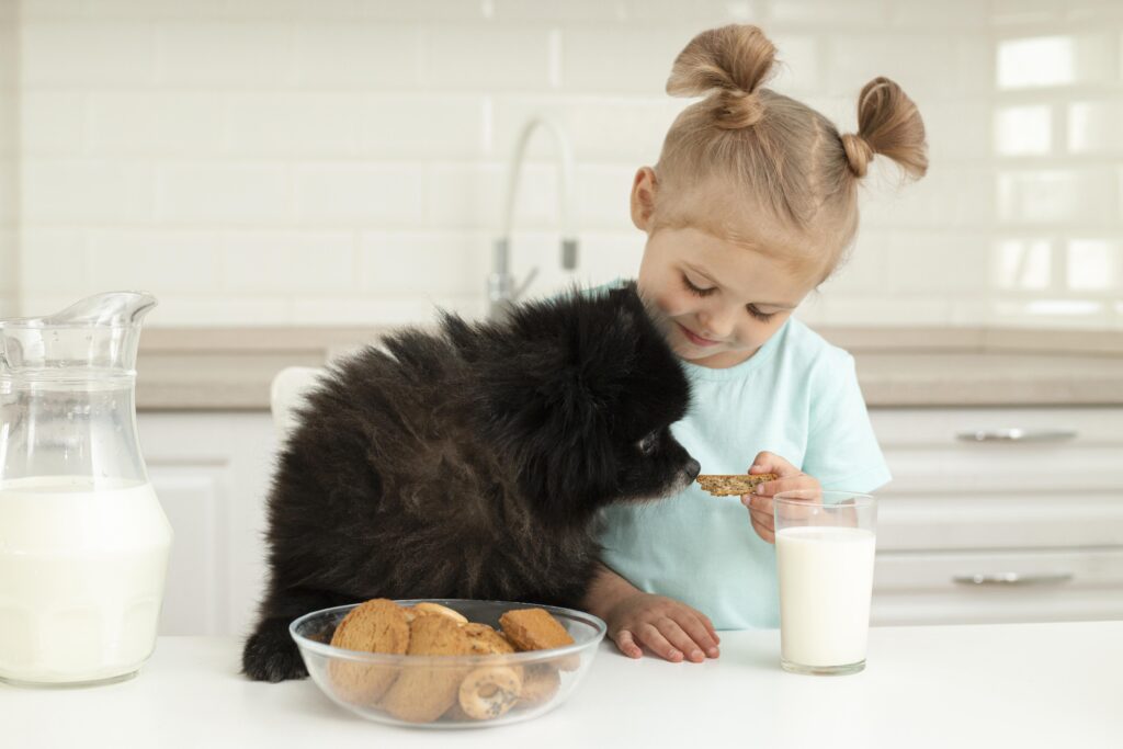 que hacer con un cachorro