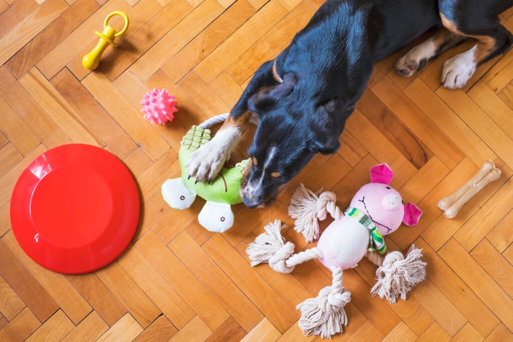 perro jugando