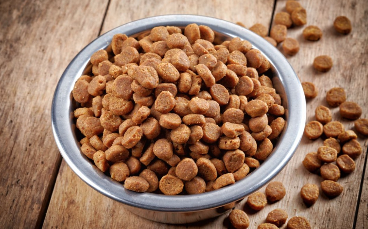pienso para perros con sobrepeso