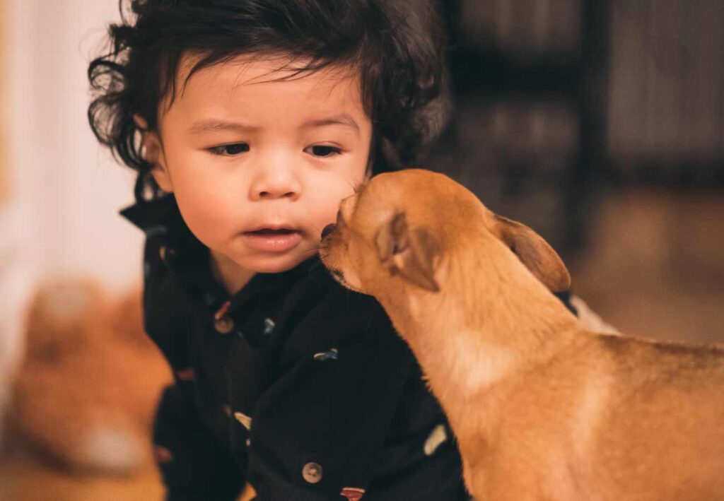 crecimiento con mascotas