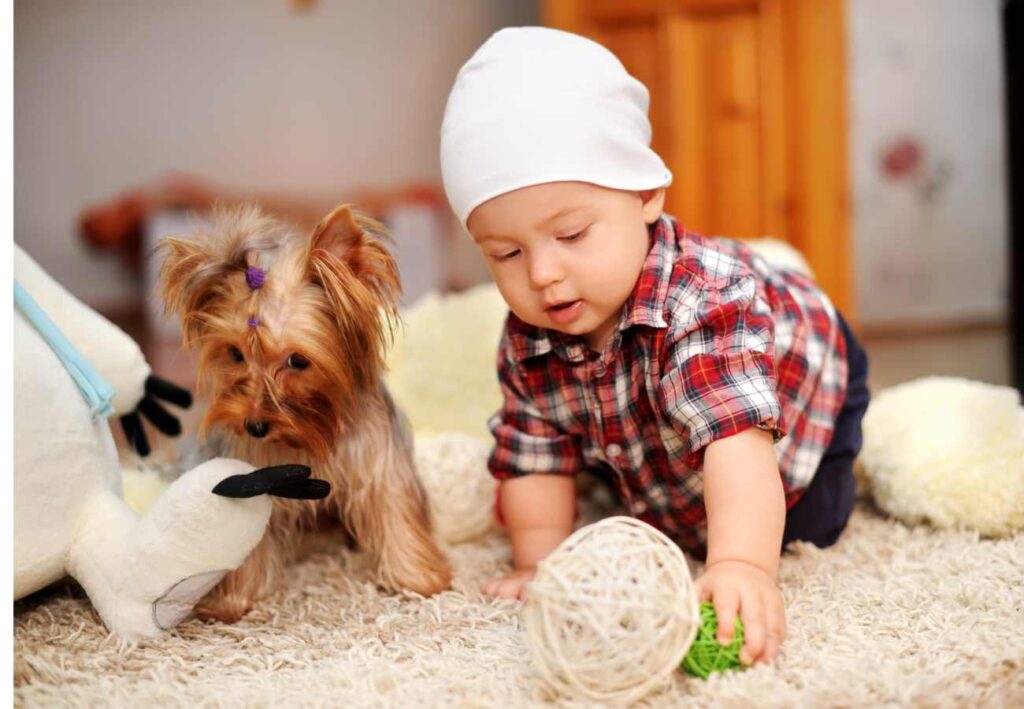 mascotas en la infancia