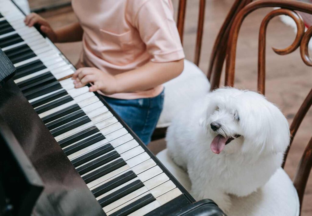 mascotas y desarrollo cognitivo