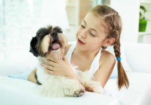 niños y perros
