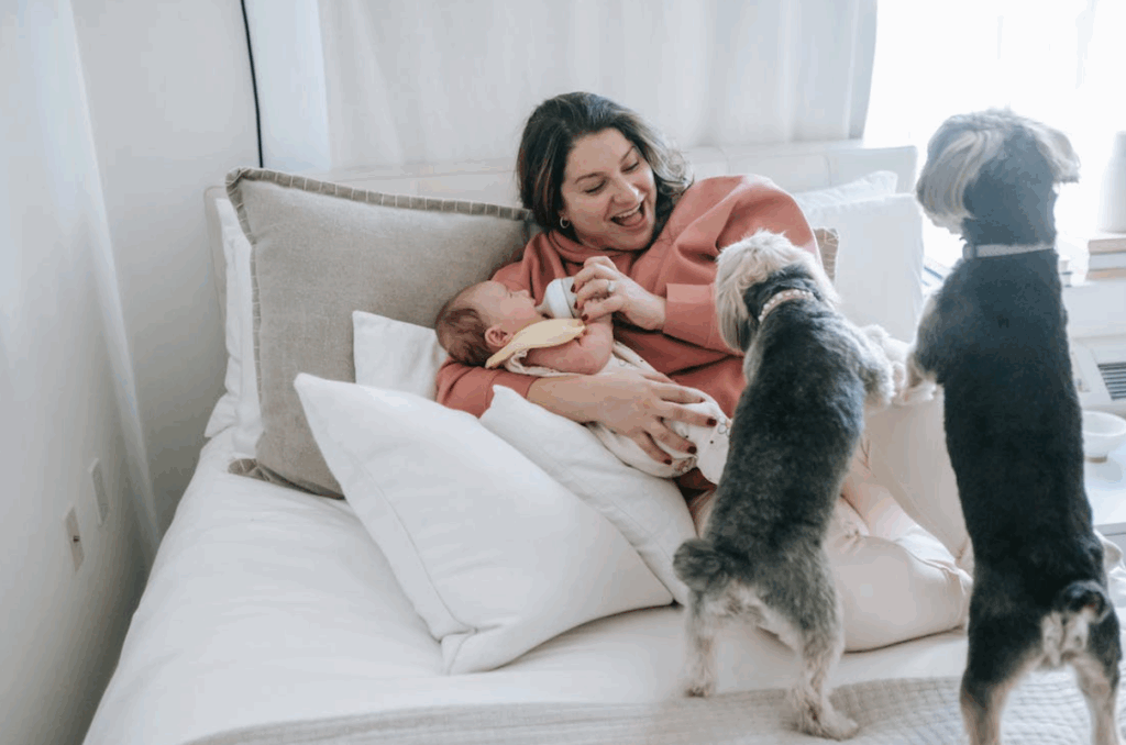 presentar un bebé a un perro