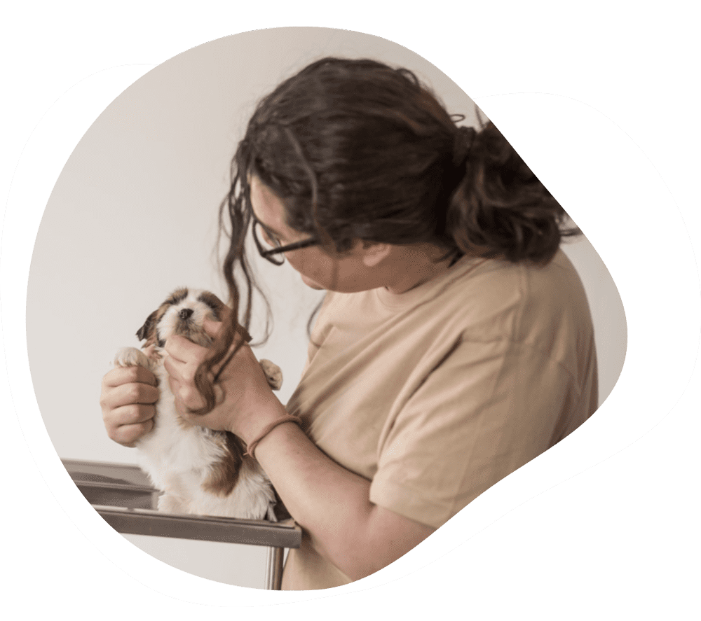 criador de cães lega