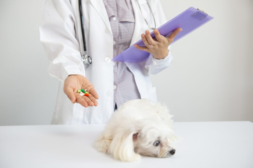 se le puede dar omeprazol a un perro