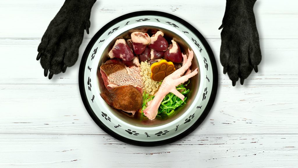 fígado de frango para cães