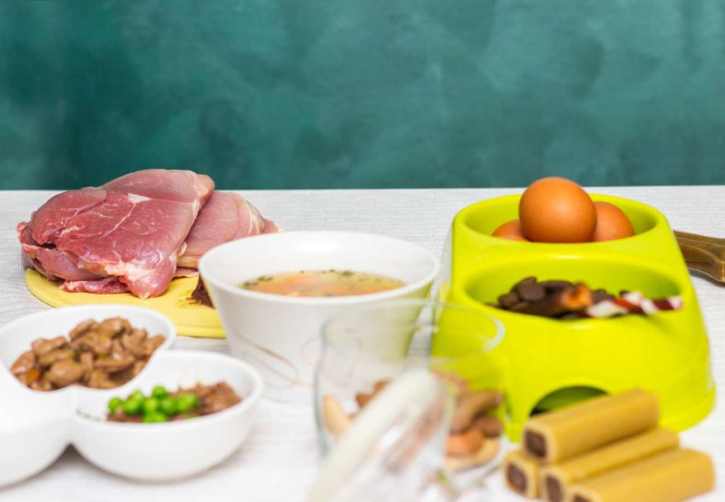 fígado de frango para cães