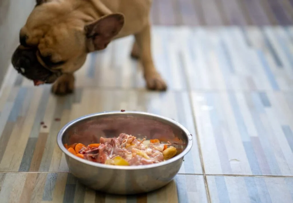 hígado de pollo para perros