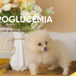 hipoglucemia en perros